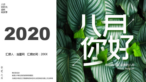 文艺小清新你好八月PPT模板