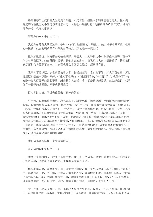 写弟弟的600字作文