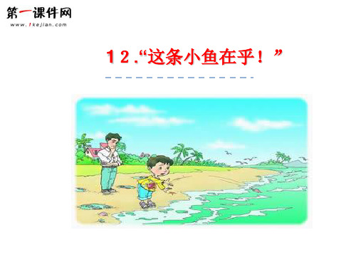 12“这条小鱼在乎!” 冀教版PPT课件
