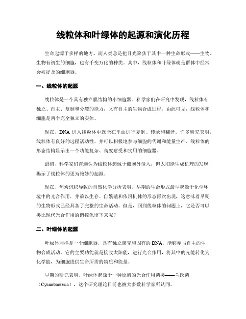 线粒体和叶绿体的起源和演化历程