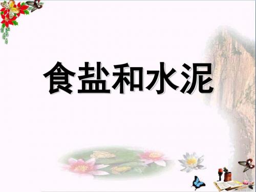 六年级科学上册食盐和水泥ppt课件8青岛版