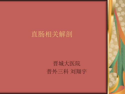 直肠相关解剖