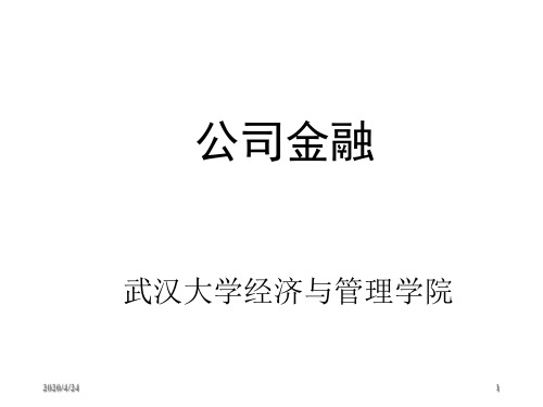 第04章资本预算武汉大学考研公司理财罗琦老师