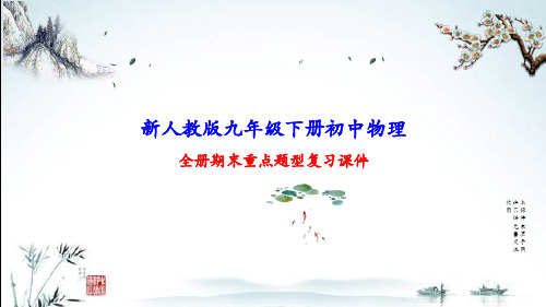新人教版九年级下册初中物理期末复习全册单元重点题型专项训练