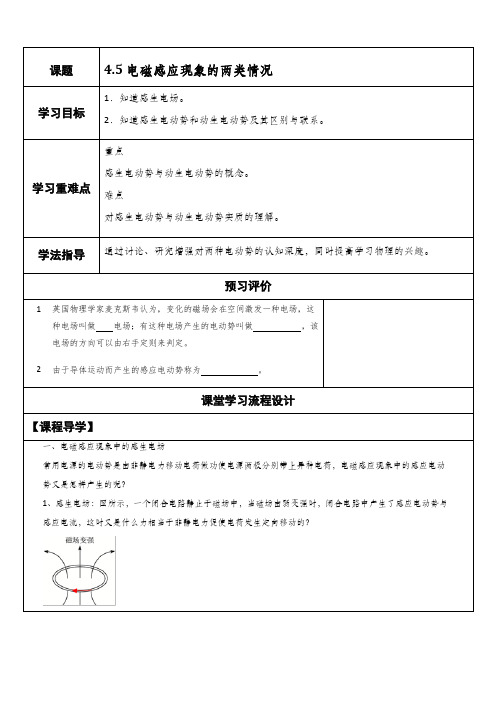 4.5电磁感应现象的两类情况