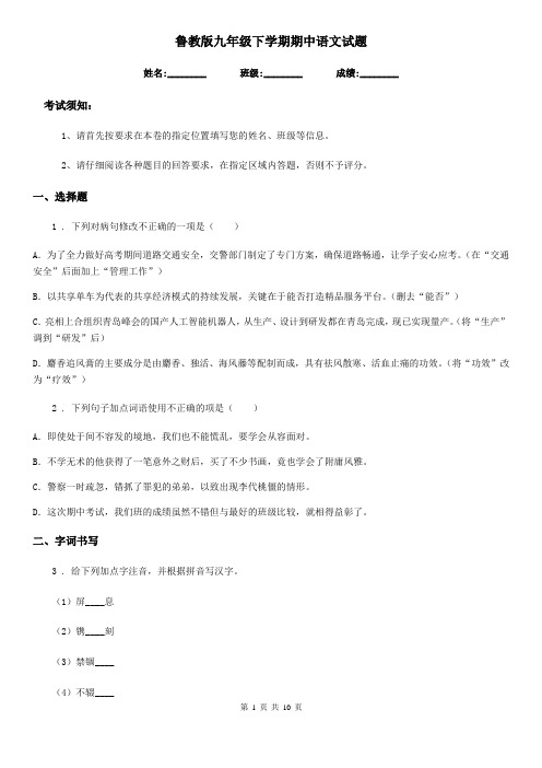 鲁教版九年级下学期期中语文试题