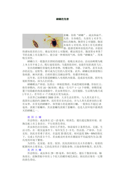 蟑螂的危害及其防治