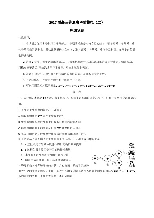 陕西省黄陵县2017届高三第二学期考前模拟理综试卷(二,普通班)