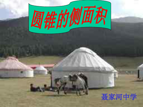 圆锥的侧面积--北师大版