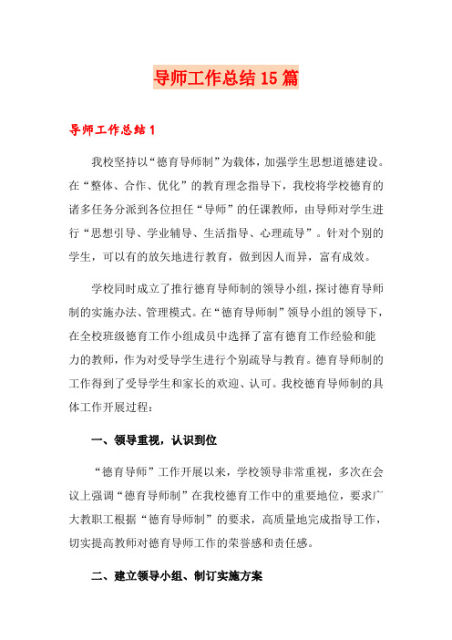 导师工作总结15篇