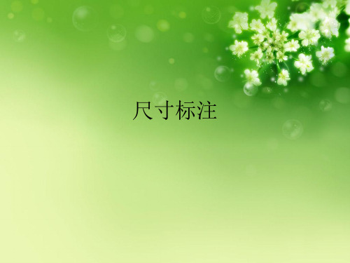尺寸标注优秀课件