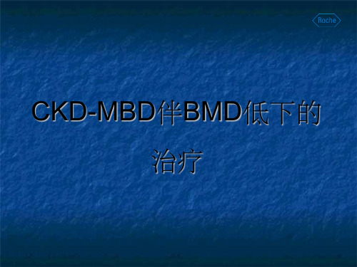 CKD-MBD伴BMD低下的治疗