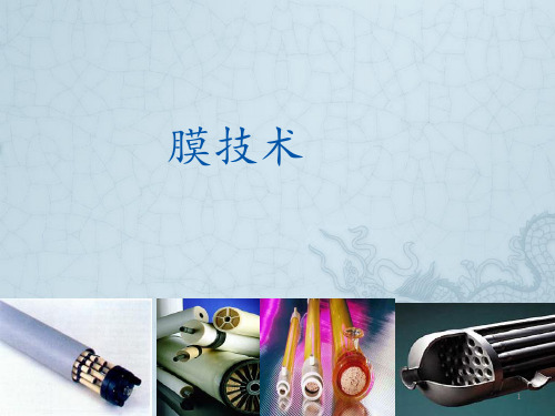 膜技术PPT课件