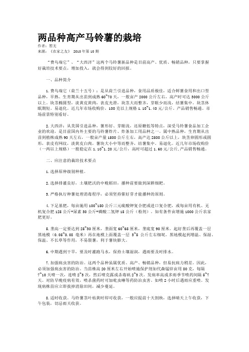 两品种高产马铃薯的栽培