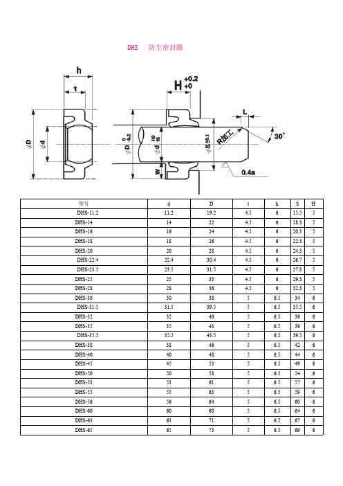 DHS密封圈(最新整理)