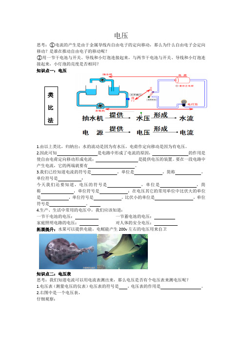 人教版九年级全一册第十六章《电压 电阻 第一节 电压 》学案