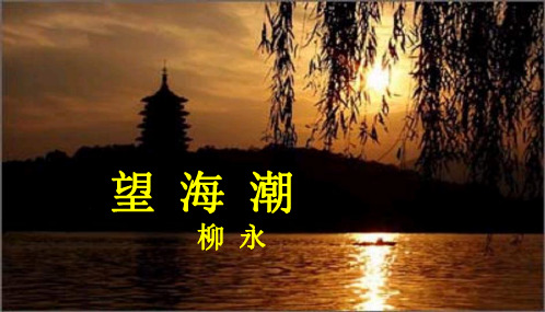 高二语文必修4课柳永《望海潮》优质课(20张ppt)课件