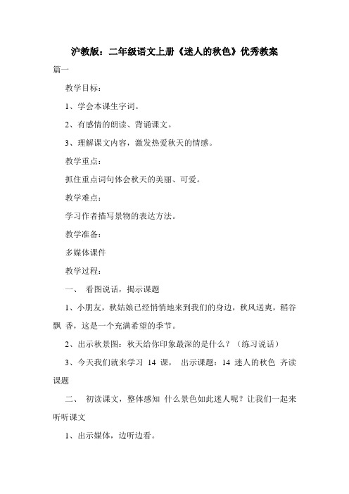 沪教版：二年级语文上册《迷人的秋色》优秀教案.doc