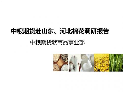 棉花产区调研方案解析PPT(15张)