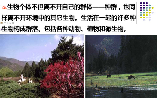 必修3 第4章群落结构演替