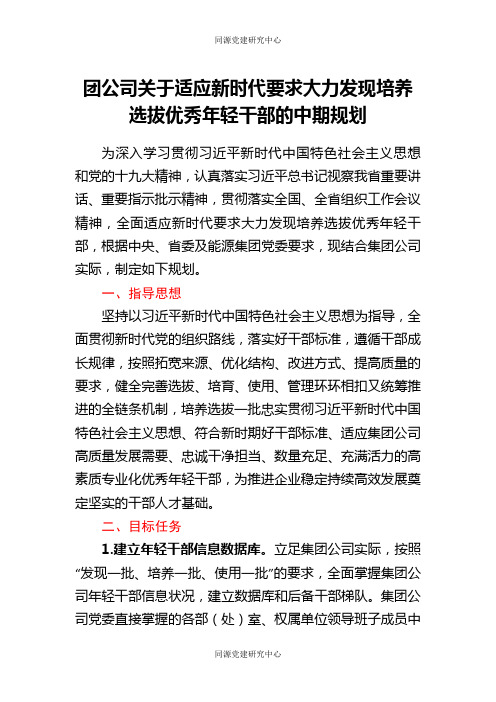 团公司关于适应新时代要求大力发现培养选拔优秀年轻干部的中期规划