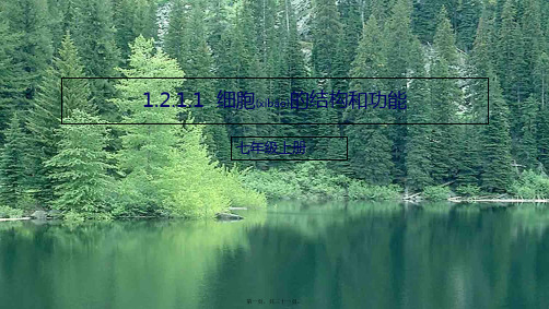 七年级生物上册 1.2.1.1细胞的结构和功能