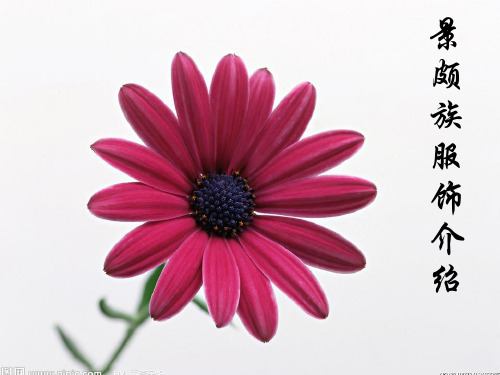 景颇族服饰文化