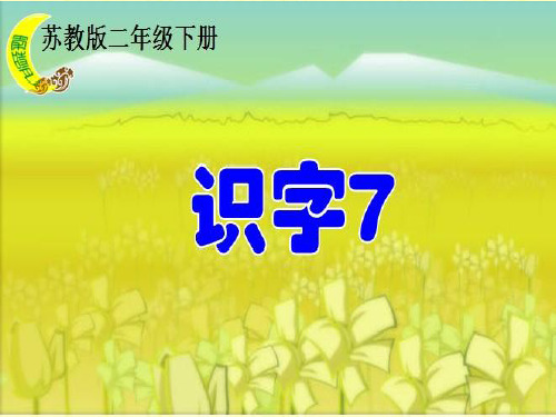 新苏教版二年级语文下册《字  识字7 礻 衤 宀 穴》优质课课件_2