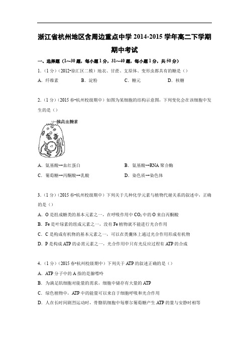 杭州地区含周边重点中学2014-2015学年高二下学期期中考试生物试题及答案