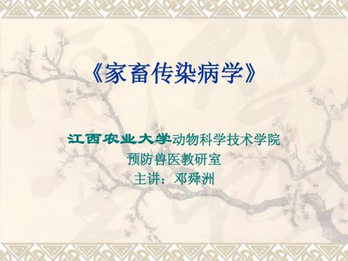 3 绿脓杆菌病-葡萄球菌病-链球菌病 - 副本