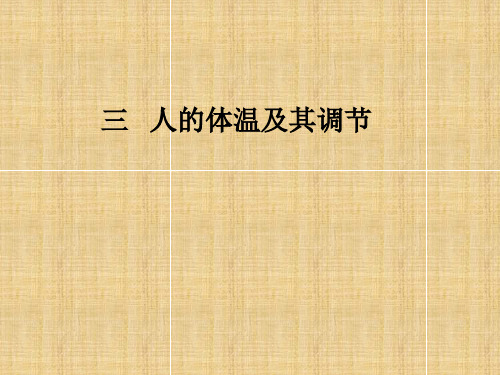 高中生物人的体温及其调节上课课件