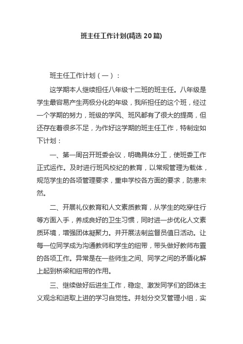 班主任工作计划(精选20篇)