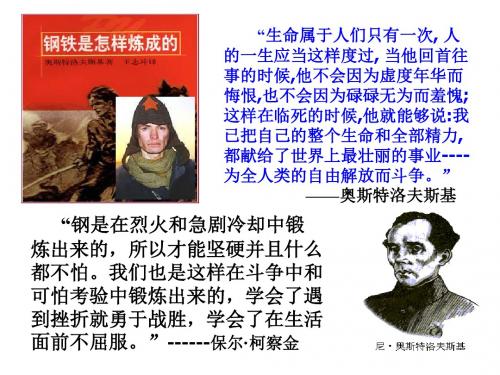 第六课第二框钢铁是这样炼成的2