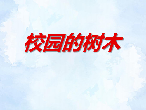 教科版三年级科学上册课件：1.2校园的树木课件