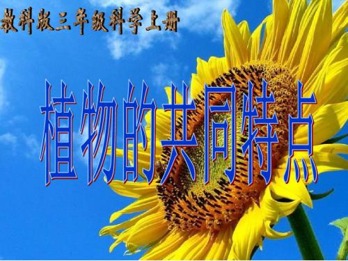 教科版科学三年级上册1.7《植物的有哪些共同特点》ppt课件4