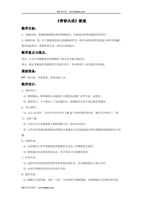 浙江人美版美术八年级下册《青春风采》教案1