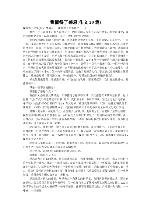 我懂得了感恩(作文20篇)