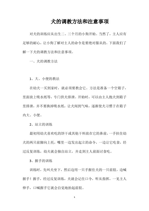 犬的调教方法和注意事项