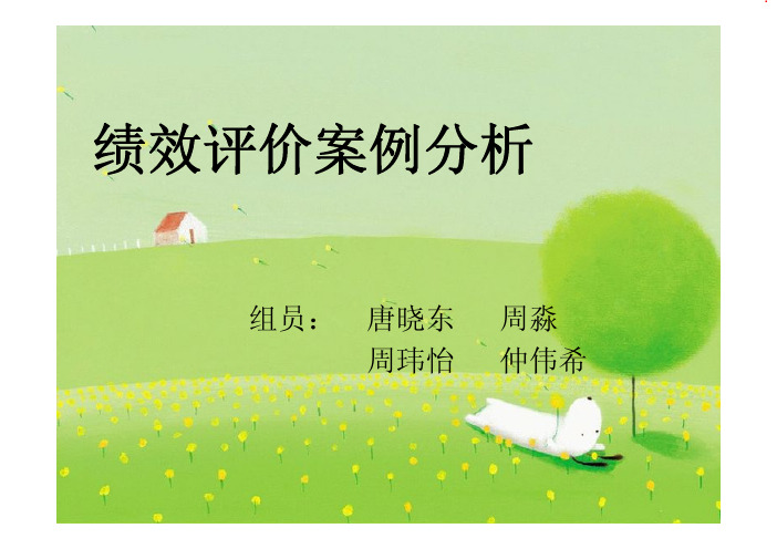 绩效评价案例分析