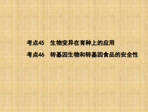 高中生物学业水平测试 专题十 考点45-46生物变异在育种上的应用、转基因生物和转基因食品的安全性复习名师