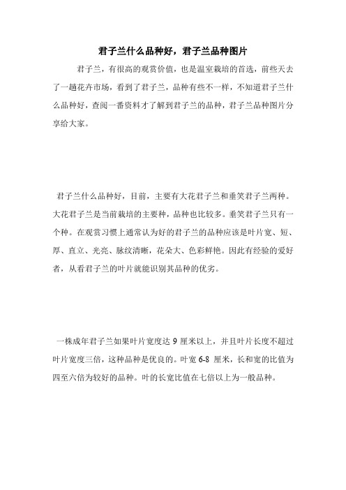 君子兰什么品种好,君子兰品种图片.doc
