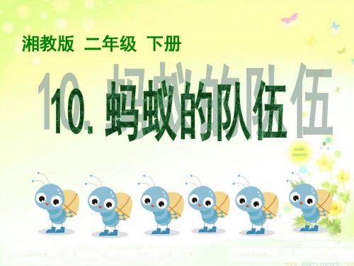 《蚂蚁的队伍》PPT优秀教学课件