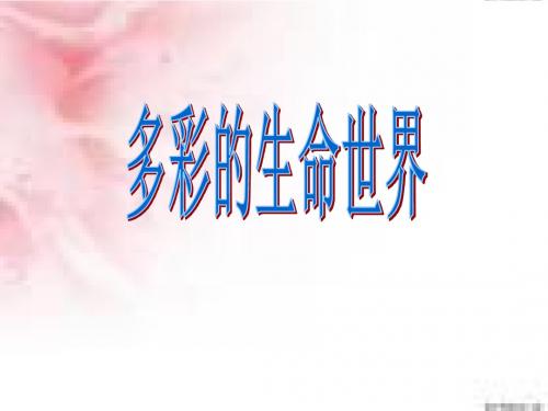 【初中政治】多彩的生命世界PPT课件2