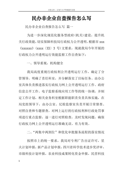 民办非企业自查报告怎么写
