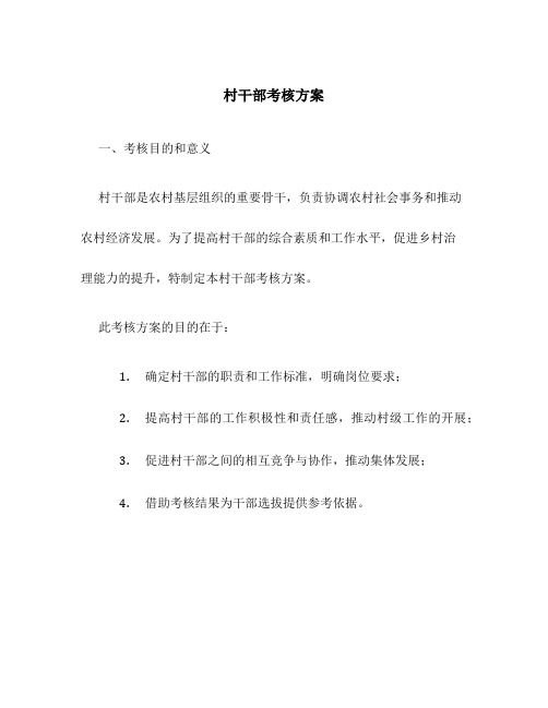 村干部考核方案