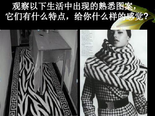 线条的魅力1PPT课件