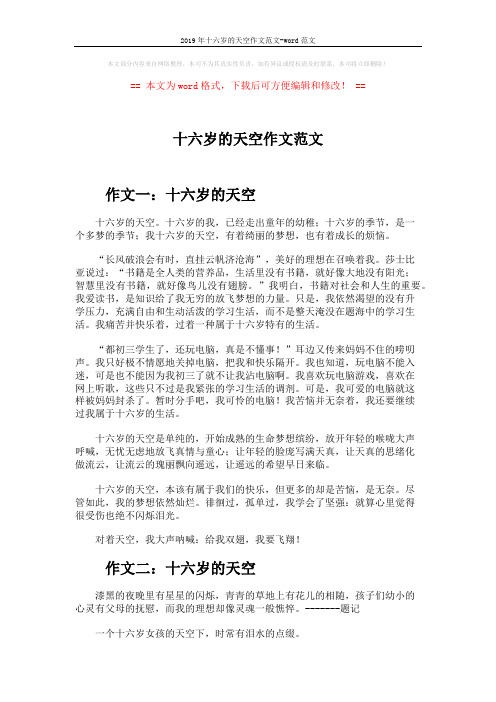2019年十六岁的天空作文范文-word范文 (7页)