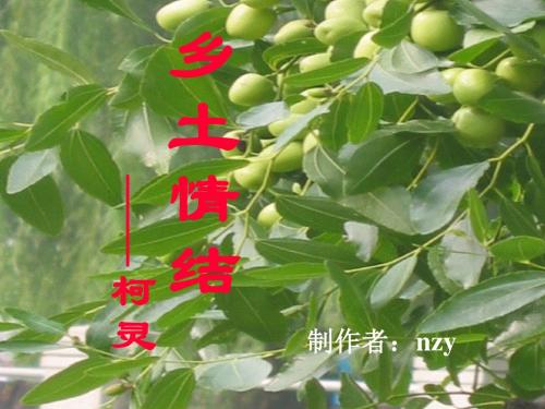 高中语文《乡土情结》PPT23