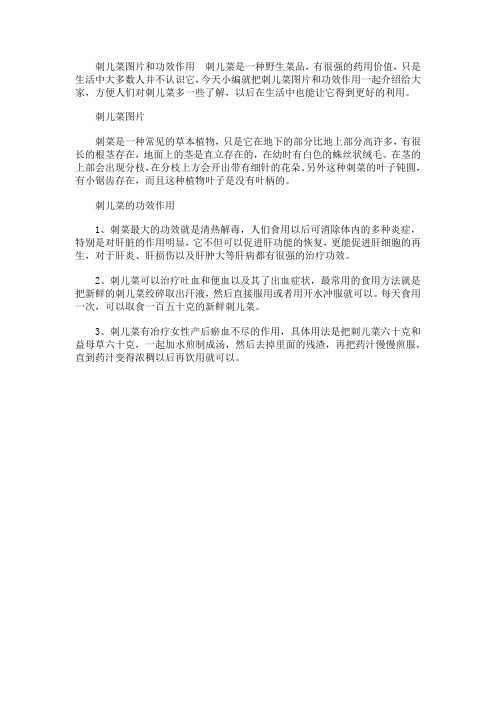 刺儿菜图片和功效作用