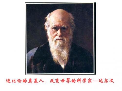 达尔文与他的“进化论”